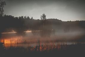 Sunset Lake Trees