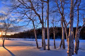 Winter Landscape of Sunset Twilight