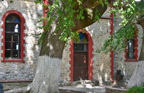 old Tree in front of Building, greece, Nei Pori