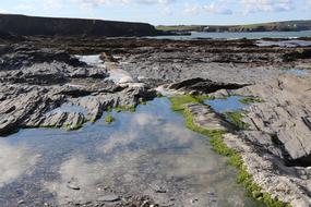 Rockpool Water Sea coastline