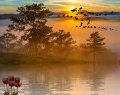 Sunset Summer Vacations