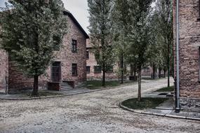 Buildings and green trees in Auschwitz I, Poland