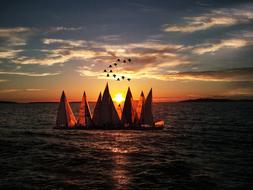 Sea Boat Horizon at sunset