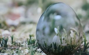 Easter Egg Flowers