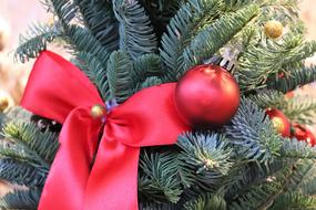 Red Christmas Decoration at Winter tree