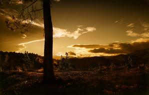 Beautiful and colorful landscape with plants, at colorful sunset in the evening