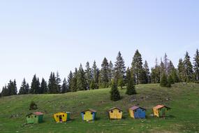 Landscape of Mountain Caban