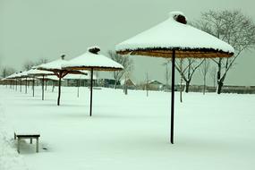 sun umbrellas in the snow in winter