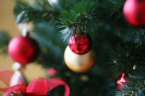 christmas tree in blurred background close up