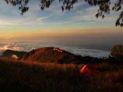Camp on the beautiful and colorful mountain peak with plants, among the clouds, at colorful and beautiful sunset