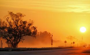 Beautiful landscape of the road, with the car, among the plants in mist, in Florida, USA, at colorful and beautiful dawn