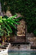 Beautiful architecture, water and plants, in Majorca, Spain