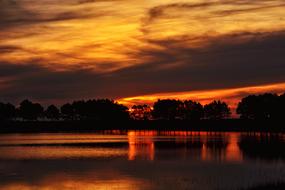 trees are reflected in the water on the horizon