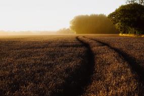 Landscape Scenic of England countryside