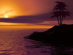 Island Palm Sunset