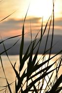 Sunset Mood Sun
