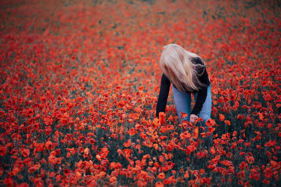Red flowers and Girl