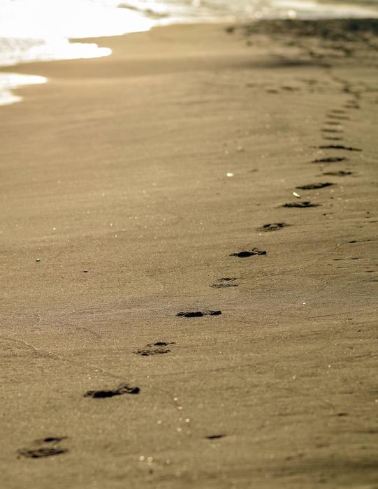 footprints on wet sand near the sea