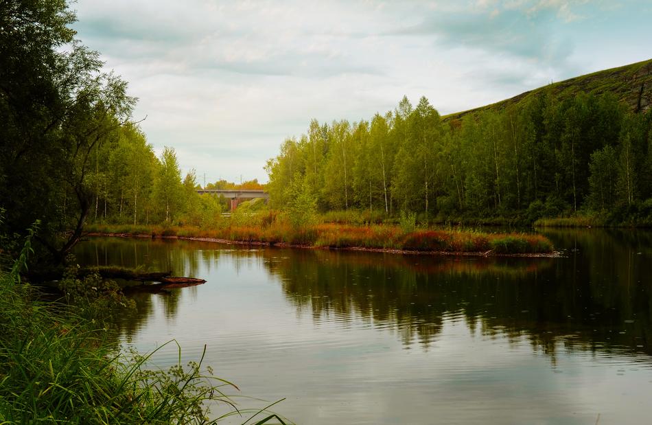 Autumn Landscape Nature river and tree