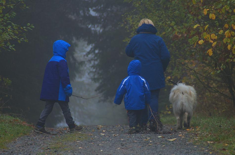 Walk Fog people and dog