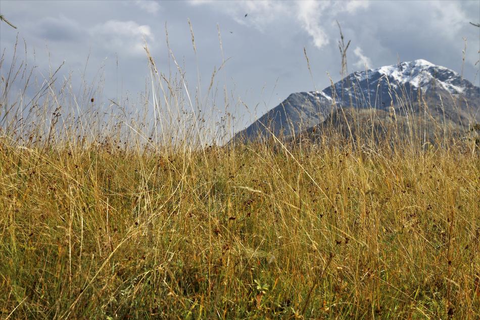Dry Grass mountains