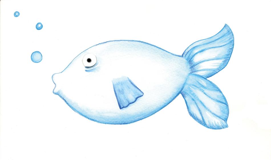 blue fish on white background
