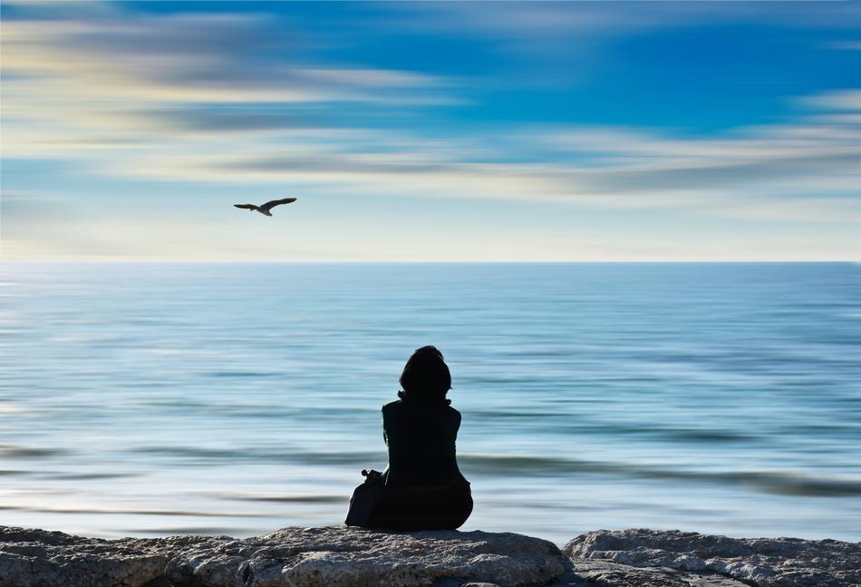 Beach Bird and person