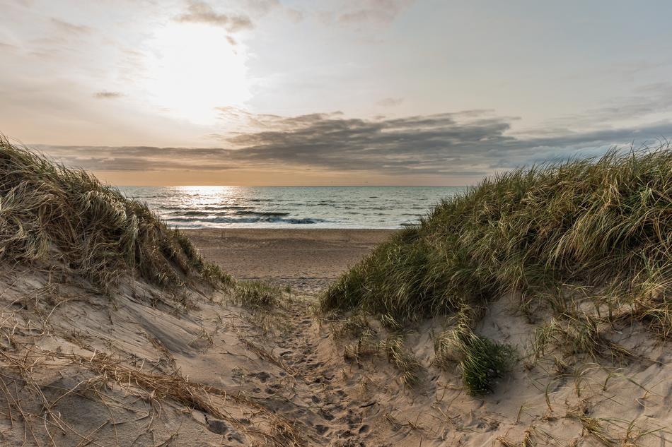 sand Beach North Sea