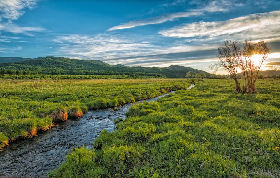 sunset over a stream on a green meadow