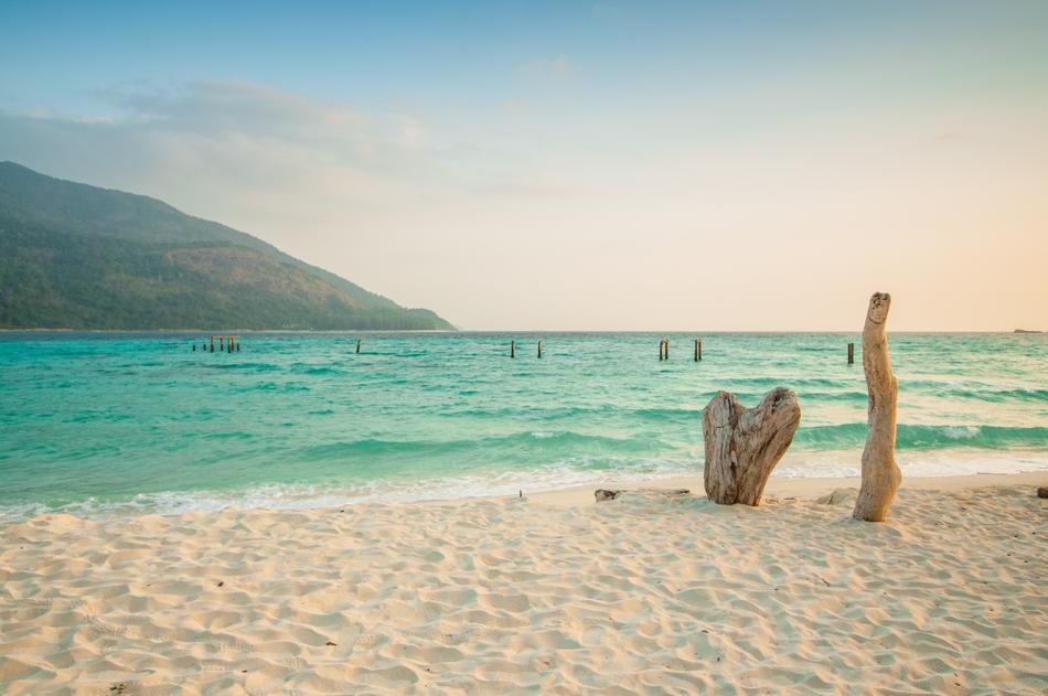 logs on the beach in Thailand