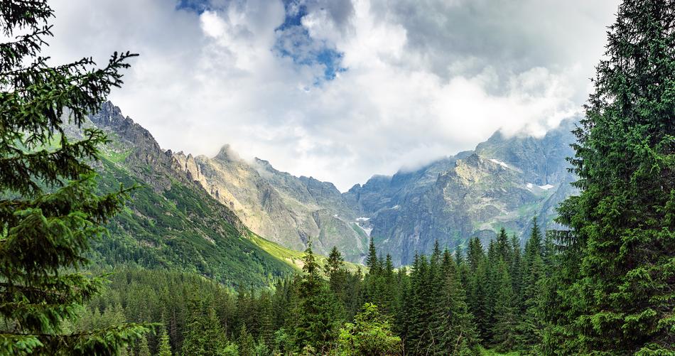 Mountains green tree