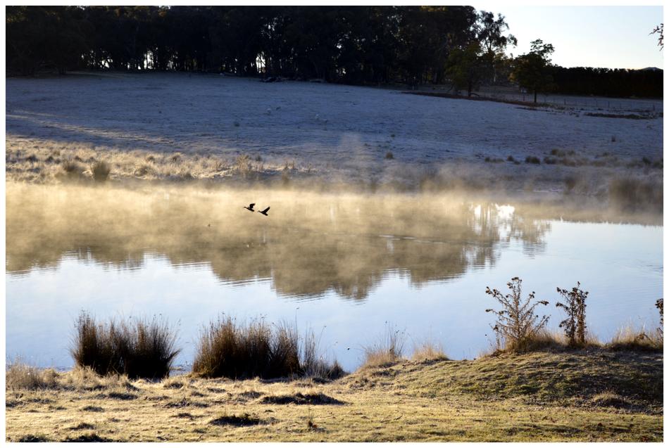 misty haze over the pond in mirror reflection