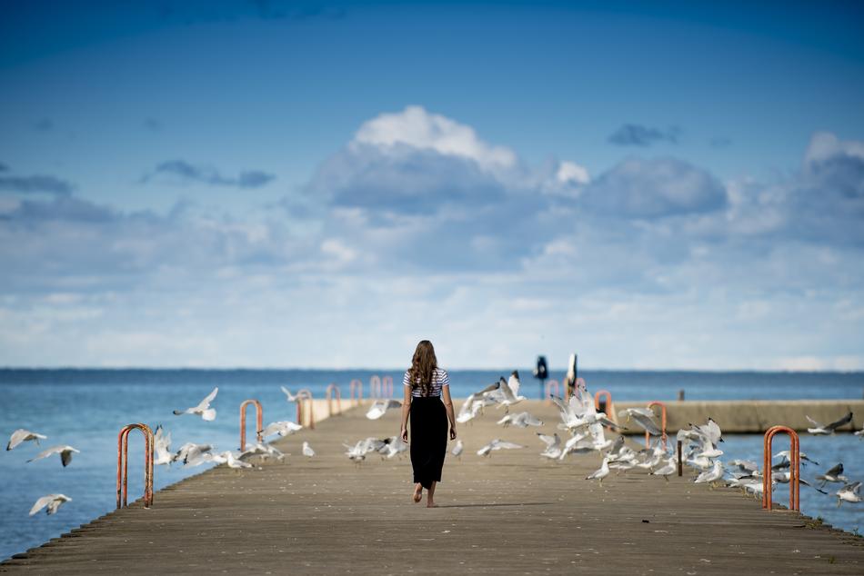 Birds and girl on pier at sea