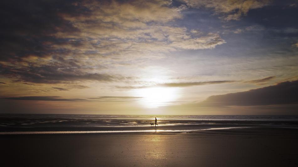 Beach Sunset and Dog
