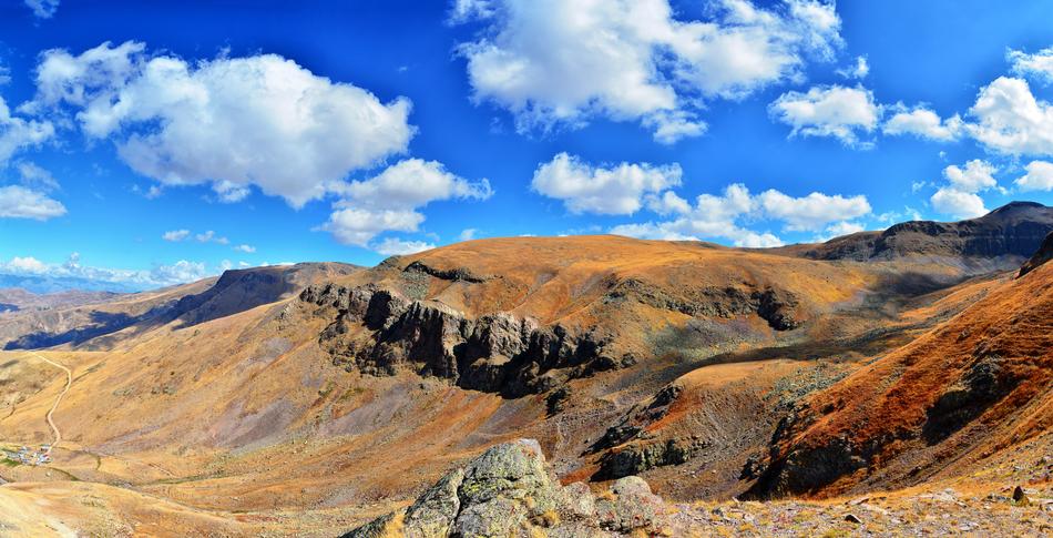 nature on brown mountain