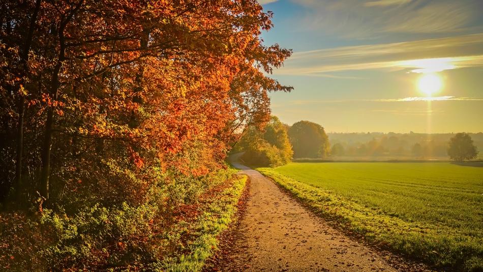 Sunset Autumn road