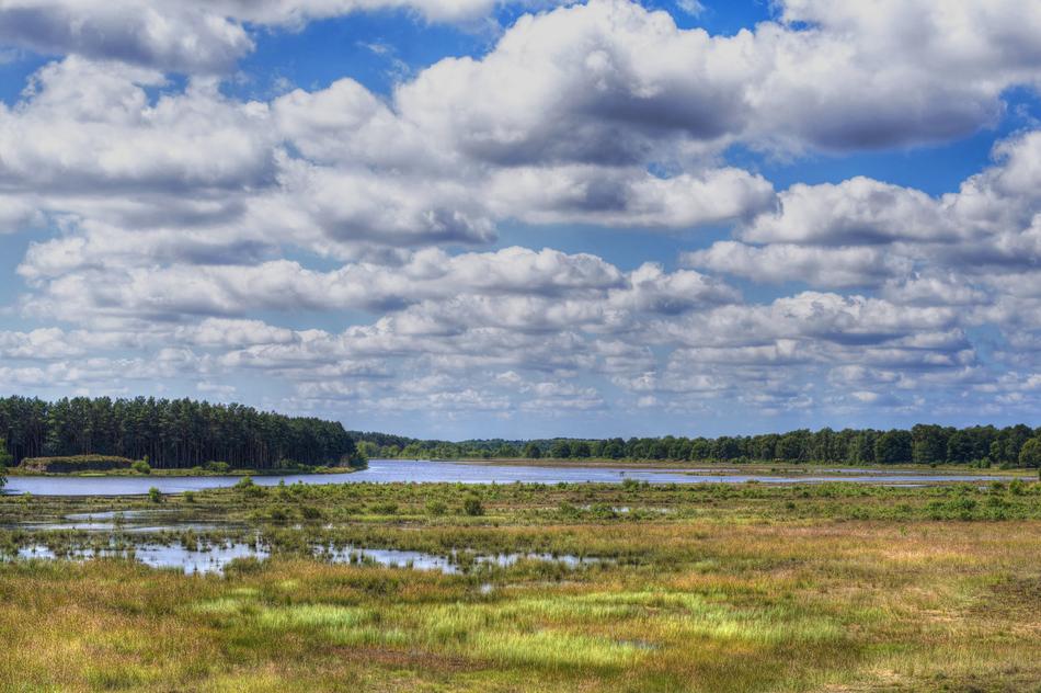 Drenthe landscape