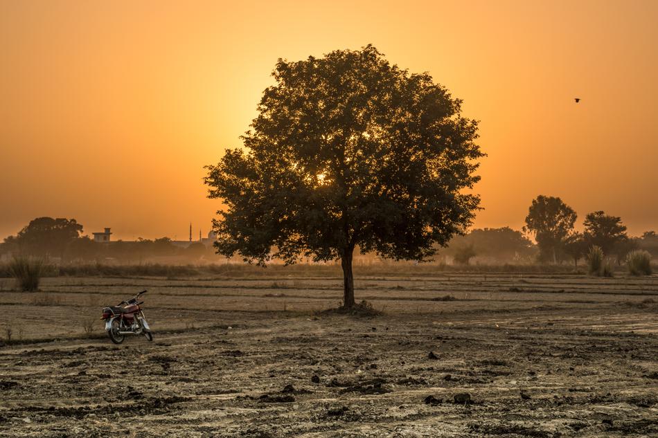 golden hour of sunset over the countryside