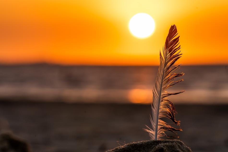 Nature Sunset Sky