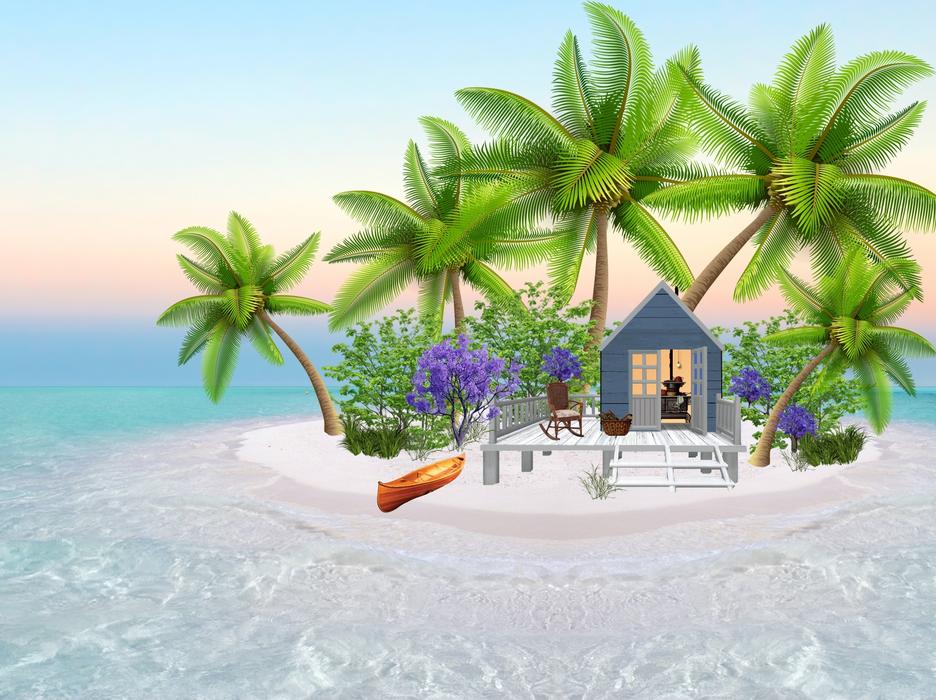 House On The Tropical Island Illustration