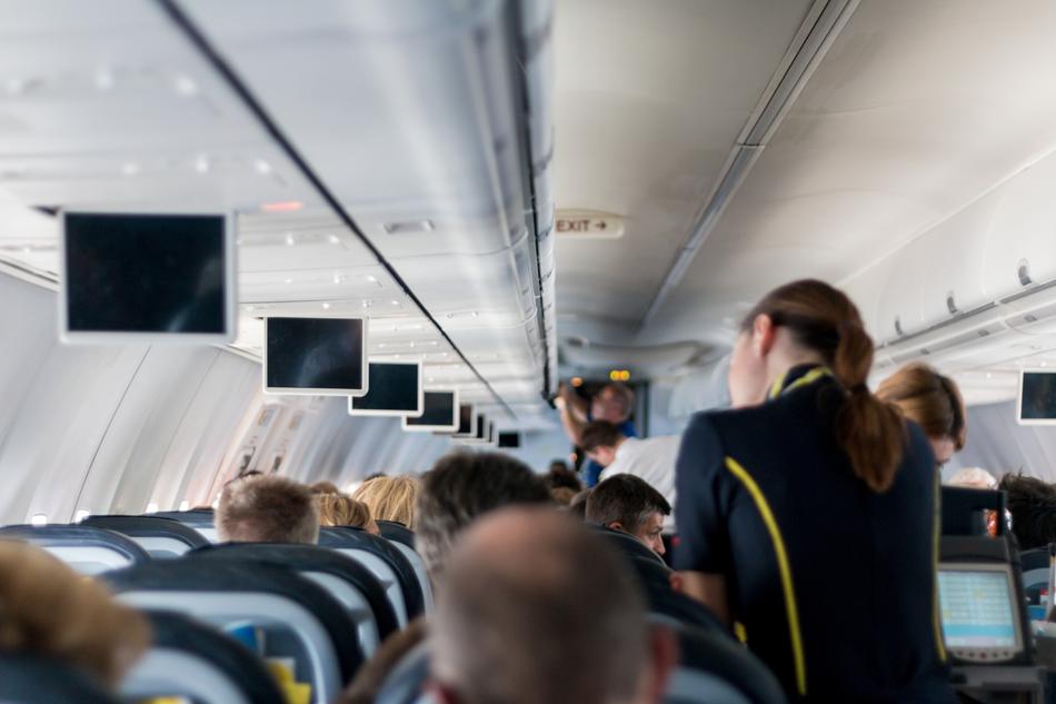 stewardesses in a cabin in flight