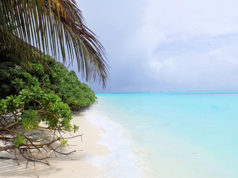 Beautiful sandy beach of Maldives, with green plants, near the turquoise ocean, under the clouds