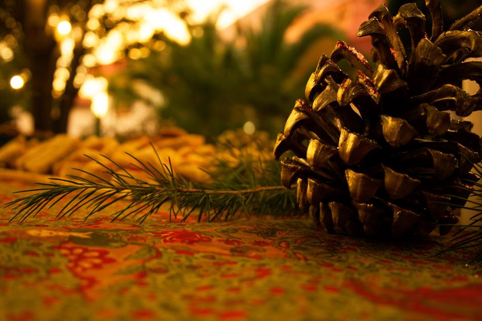 Close-up of the beautiful cone, among the colorful plants, on Christmas, in light