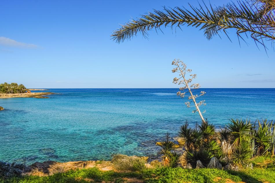 Beautiful and colorful seashore of Protaras, Cyprus, with colorful plants, in sunlight