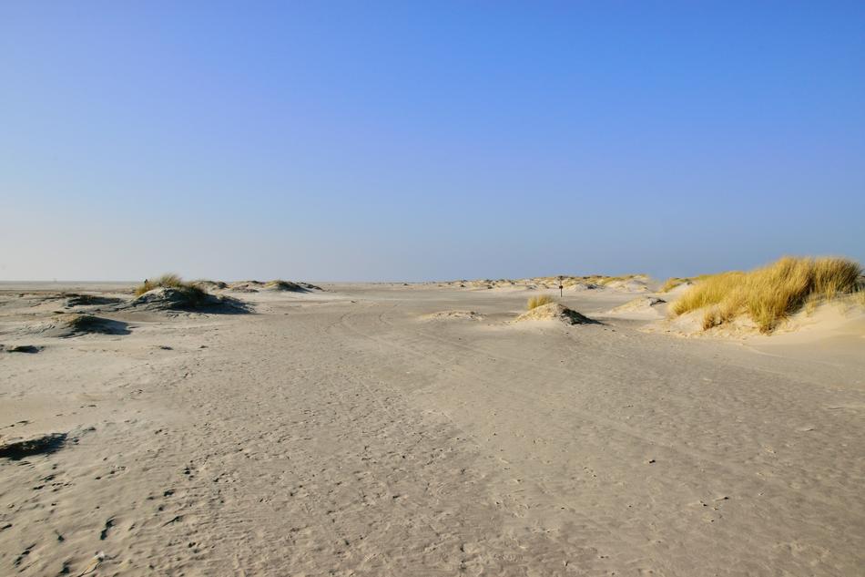 Sand Desert Nature
