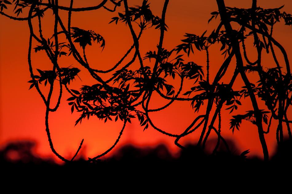 Sunset Evening Sky