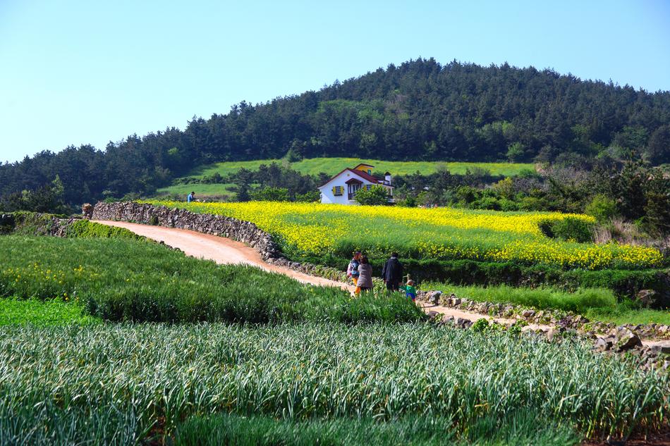 farm on an island in Wando, South Korea
