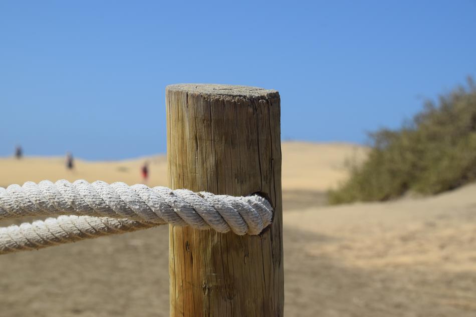 Close-up of the wooden pole with ripe fence, on the sandy beach with green plants, in Spain