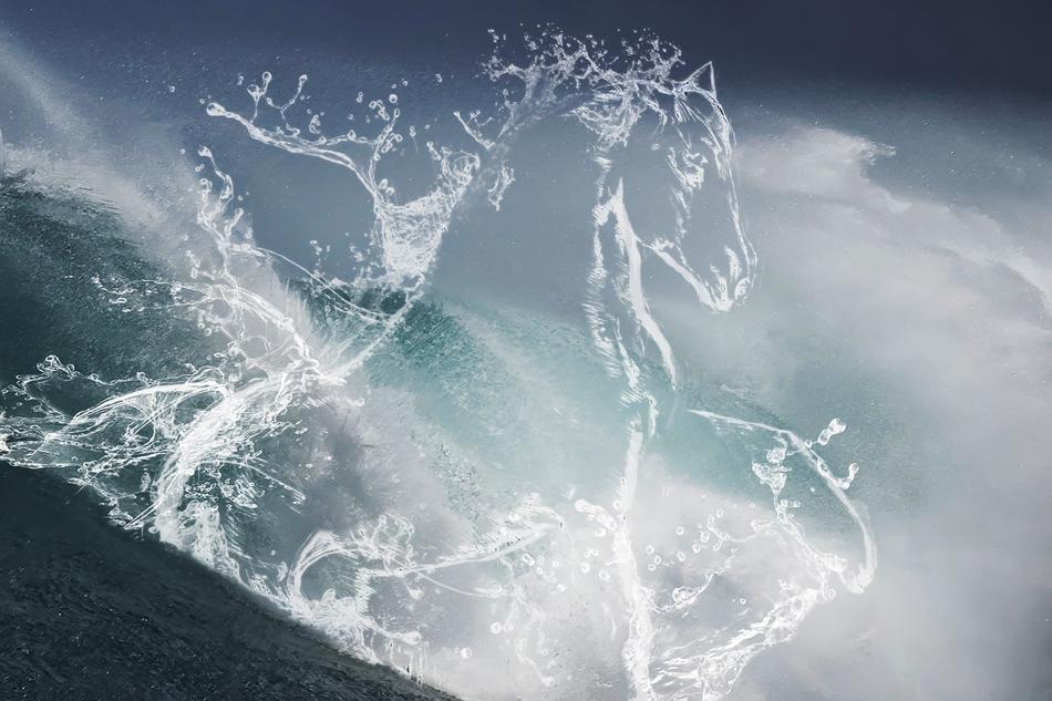 Beautiful horse shape, made of the waves in the colorful sea