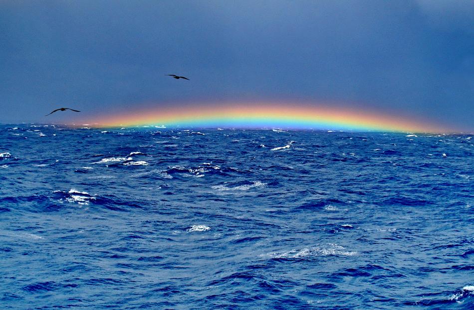 The Bermuda Triangle Rainbow Ocean and bird